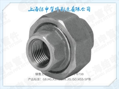 JB/T11398-2013螺纹活接头