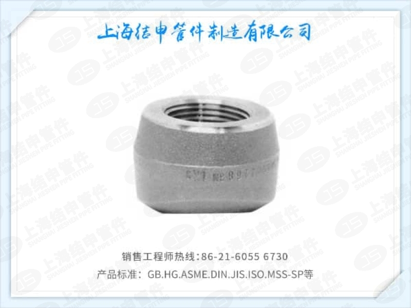 螺纹支管座(不锈钢)